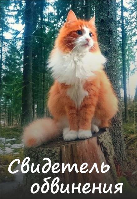 Свидетель обвинения - Алена Волгина - современные аудиокниги попаданцы мр3 слушать на лучшем сайте booksaudio-online.com