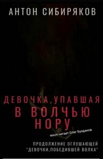 Девочка, упавшая в волчью нору - Антон Сибиряков - современные аудиокниги попаданцы мр3 слушать на лучшем сайте booksaudio-online.com
