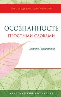 Осознанность простыми словами - Хенепола Гунаратана Бханте - современные аудиокниги попаданцы мр3 слушать на лучшем сайте booksaudio-online.com