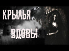 Крылья вдовы - Мария Токарева - современные аудиокниги попаданцы мр3 слушать на лучшем сайте booksaudio-online.com