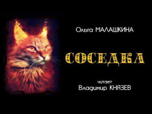 Соседка - Ольга Малашкина - современные аудиокниги попаданцы мр3 слушать на лучшем сайте booksaudio-online.com