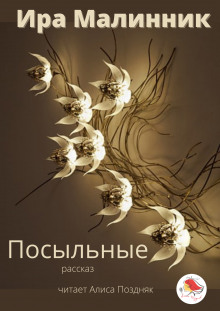 Посыльные - Ира Малинник - современные аудиокниги попаданцы мр3 слушать на лучшем сайте booksaudio-online.com