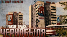 Горькие Травы Чернобыля - Автор неизвестен - современные аудиокниги попаданцы мр3 слушать на лучшем сайте booksaudio-online.com