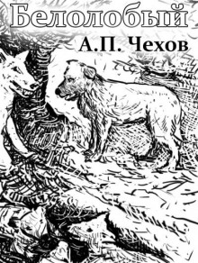 Белолобый - Антон Чехов - современные аудиокниги попаданцы мр3 слушать на лучшем сайте booksaudio-online.com