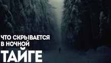 Ямщик - Автор неизвестен - современные аудиокниги попаданцы мр3 слушать на лучшем сайте booksaudio-online.com