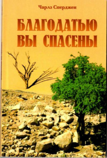 Благодатью вы спасены - Чарльз Сперджен - современные аудиокниги попаданцы мр3 слушать на лучшем сайте booksaudio-online.com