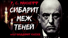 Сибарит меж теней - МакНефф Р С - современные аудиокниги попаданцы мр3 слушать на лучшем сайте booksaudio-online.com