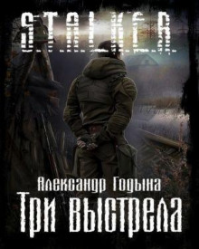 S.T.A.L.K.E.R. Три выстрела - Александр Годына - современные аудиокниги попаданцы мр3 слушать на лучшем сайте booksaudio-online.com