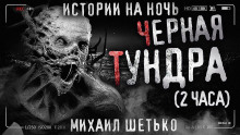 Чёрная Тундра - Автор неизвестен - современные аудиокниги попаданцы мр3 слушать на лучшем сайте booksaudio-online.com