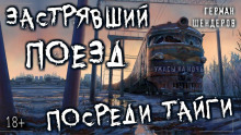 Перегон - Герман Шендеров - современные аудиокниги попаданцы мр3 слушать на лучшем сайте booksaudio-online.com