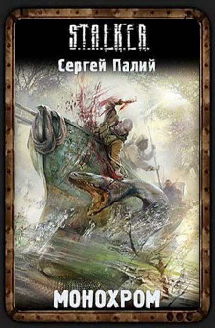 Монохром. S.T.A.L.K.E.R. - Сергей Палий - современные аудиокниги попаданцы мр3 слушать на лучшем сайте booksaudio-online.com
