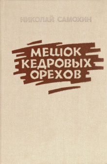 Мешок кедровых орехов - Николай Самохин - современные аудиокниги попаданцы мр3 слушать на лучшем сайте booksaudio-online.com