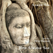 Нет Аджана Чаа - Аджан Чаа - современные аудиокниги попаданцы мр3 слушать на лучшем сайте booksaudio-online.com