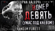 Номер девять - Random Forest - современные аудиокниги попаданцы мр3 слушать на лучшем сайте booksaudio-online.com