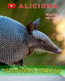 Откуда взялись броненосцы - Киплинг Редьярд - современные аудиокниги попаданцы мр3 слушать на лучшем сайте booksaudio-online.com