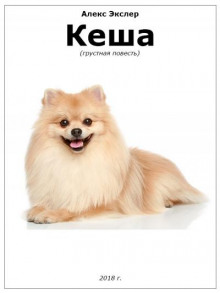 Кеша - Алекс Экслер - современные аудиокниги попаданцы мр3 слушать на лучшем сайте booksaudio-online.com