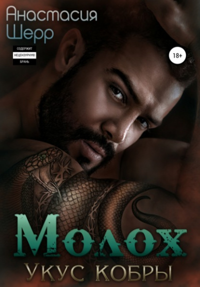 Молох. Укус кобры - Анастасия Шерр - современные аудиокниги попаданцы мр3 слушать на лучшем сайте booksaudio-online.com