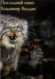 Последний шанс - Владимир Волдан - современные аудиокниги попаданцы мр3 слушать на лучшем сайте booksaudio-online.com