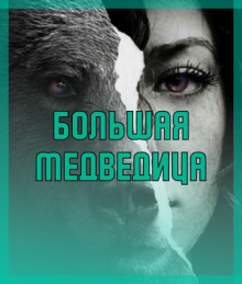 Большая медведица - Автор неизвестен - современные аудиокниги попаданцы мр3 слушать на лучшем сайте booksaudio-online.com