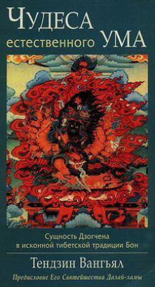 Чудеса естественного ума - Тензин Ринпоче - современные аудиокниги попаданцы мр3 слушать на лучшем сайте booksaudio-online.com