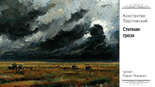 Степная гроза - Константин Паустовский - современные аудиокниги попаданцы мр3 слушать на лучшем сайте booksaudio-online.com