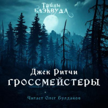 Гроссмейстеры - Джек Ритчи - современные аудиокниги попаданцы мр3 слушать на лучшем сайте booksaudio-online.com