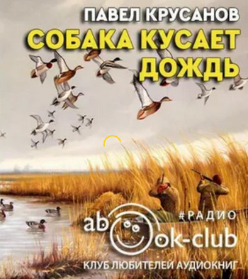 Собака кусает дождь - Павел Крусанов - современные аудиокниги попаданцы мр3 слушать на лучшем сайте booksaudio-online.com
