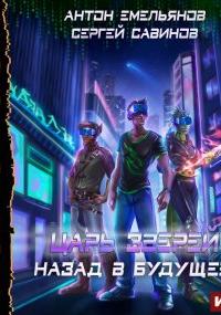 Царь зверей. Назад в будущее - Сергей Савинов, Антон Емельянов (книга 6) - современные аудиокниги попаданцы мр3 слушать на лучшем сайте booksaudio-online.com