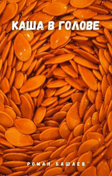 Каша в голове - Роман Башаев - современные аудиокниги попаданцы мр3 слушать на лучшем сайте booksaudio-online.com