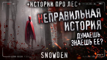 Неправильная история - Snow Den - современные аудиокниги попаданцы мр3 слушать на лучшем сайте booksaudio-online.com