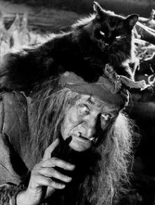 Таких не берут в Бабки Ежки - Александра Свидерская - современные аудиокниги попаданцы мр3 слушать на лучшем сайте booksaudio-online.com