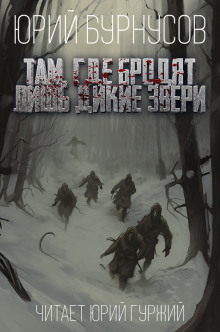 Там, где бродят лишь дикие звери - Юрий Бурносов - современные аудиокниги попаданцы мр3 слушать на лучшем сайте booksaudio-online.com