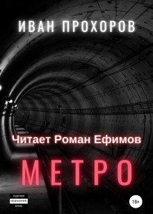 Метро - Иван Прохоров - современные аудиокниги попаданцы мр3 слушать на лучшем сайте booksaudio-online.com