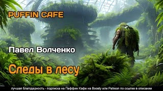 Следы в лесу - Павел Волченко » - современные аудиокниги попаданцы мр3 слушать на лучшем сайте booksaudio-online.com