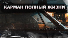 Карман полный жизни - Роман Голотвин - современные аудиокниги попаданцы мр3 слушать на лучшем сайте booksaudio-online.com