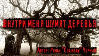 Внутри меня шумят деревья - Роман Черный » - современные аудиокниги попаданцы мр3 слушать на лучшем сайте booksaudio-online.com