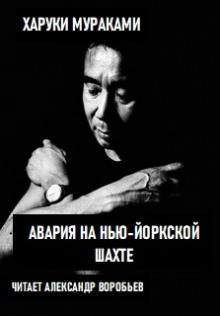 Авария на Нью-Йоркской шахте - Харуки Мураками - современные аудиокниги попаданцы мр3 слушать на лучшем сайте booksaudio-online.com