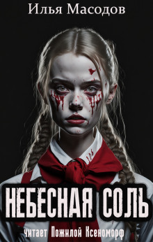 Небесная соль (сборник) - Илья Масодов - современные аудиокниги попаданцы мр3 слушать на лучшем сайте booksaudio-online.com