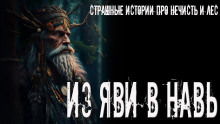 Из Яви в Навь - Аврора Новак - современные аудиокниги попаданцы мр3 слушать на лучшем сайте booksaudio-online.com