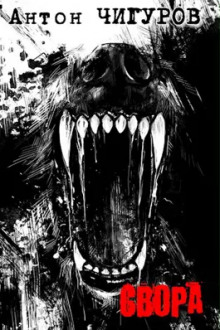 Свора - Антон Чигуров - современные аудиокниги попаданцы мр3 слушать на лучшем сайте booksaudio-online.com
