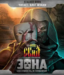 Проверка на вшивость - Анна Ермоленко - современные аудиокниги попаданцы мр3 слушать на лучшем сайте booksaudio-online.com