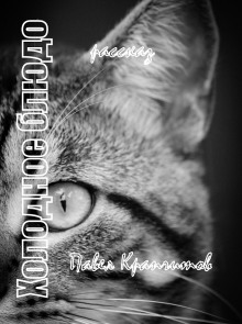 Холодное блюдо - Автор неизвестен - современные аудиокниги попаданцы мр3 слушать на лучшем сайте booksaudio-online.com