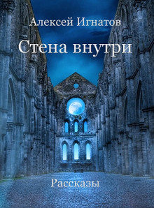 Стена внутри - Алексей Игнатов - современные аудиокниги попаданцы мр3 слушать на лучшем сайте booksaudio-online.com