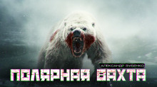 Полярная вахта - Автор неизвестен - современные аудиокниги попаданцы мр3 слушать на лучшем сайте booksaudio-online.com