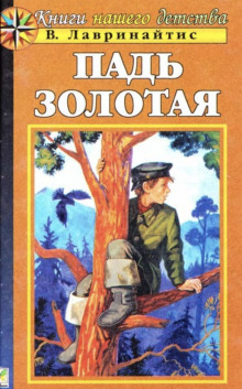 Падь Золотая - Виктор Лавринайтис - современные аудиокниги попаданцы мр3 слушать на лучшем сайте booksaudio-online.com