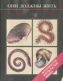 Они должны жить. Моллюски, кольчатые черви - Надежда Кочетова - современные аудиокниги попаданцы мр3 слушать на лучшем сайте booksaudio-online.com