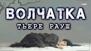 Волчатка - Тьере Рауш - современные аудиокниги попаданцы мр3 слушать на лучшем сайте booksaudio-online.com