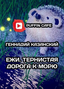 Ежи. Тернистая дорога к морю - Геннадий Казанский - современные аудиокниги попаданцы мр3 слушать на лучшем сайте booksaudio-online.com