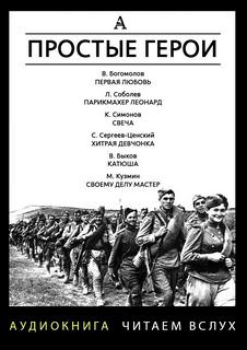 Простые герои (Сборник) - современные аудиокниги попаданцы мр3 слушать на лучшем сайте booksaudio-online.com