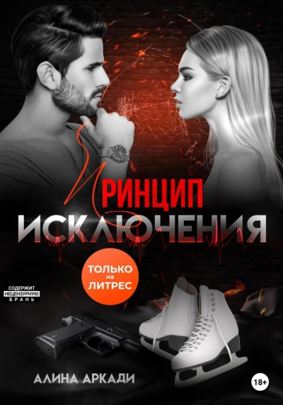 Принцип исключения - Алина Аркади - современные аудиокниги попаданцы мр3 слушать на лучшем сайте booksaudio-online.com
